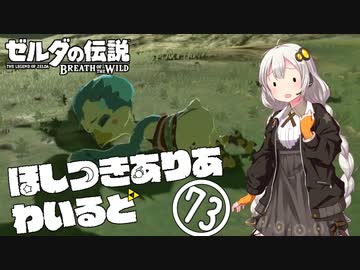 【ゼルダの伝説BotW】ほしつきありあわいるど Part73【VOICeVI実況】