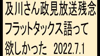 及川さん政見放送残念、フラットタックス語って欲しかった