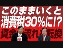 資金の流れを転換しないと！！海外の企業のために働くようになった…　経済について色々聞いてみた　後編　【政党DIY→参政党 松田学×武田邦彦】 #170