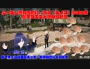 【黒い砂漠】シーズン終わっちゃう…その前にザコ5000体倒す【実況】 #ホリ動画　#バ美肉