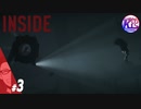 #3【ホラー】内側の内部。INSIDE【けーちゃん】【KcsCHANNEL】