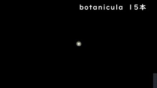 【ゲーム実況】botanicula 15本目