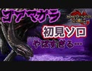 大好きなゴアマガラにテンションが上がる男　Part 14【モンハンサンブレイク】【実況】