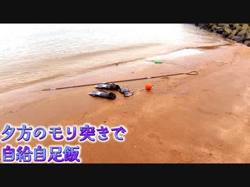 【ぴ】海で魚を獲って暮らす　田舎暮らし自給自足　魚突き　モリ突き