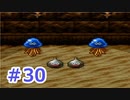 【実況】勇者の子供だったので冒険してみた DQ3【part30】