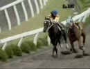 【競馬】85年札幌日経賞 ギャロップダイナ(高画質)