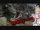 【ソフトウェアトーク実況プレイ】饅頭と愉快な仲間達の遺跡探索07【トゥームレイダー】