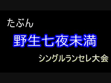 MUGEN【たぶん野生七夜未満】シングルランセレ大会 Part.12