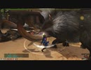Monster Hunter Frontier G ドスファンゴなのか？