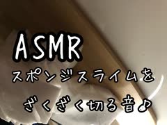 ASMR スポンジスライムを斬る！