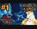 【初見実況】#1 新天地　銃槍担ぐ　木菟竜【Monster Hunter RISE SUNBREAK】