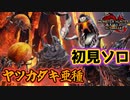 ヤツカダキ亜種が火遁すぎるwww　Part 15【モンハンサンブレイク】【実況】