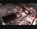 （今日は次回の告知のみの見廻り回ｗ）変態忍者の、有害鳥獣駆除従事活動記・その２０３