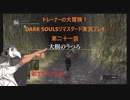 トレーナーの大冒険！ DARK SOULSリマスタード実況プレイ 第二十一話