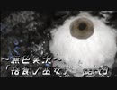 《無色実況》【村で儀式失敗系ホラーADV】「捨食ノ巫女」  part3
