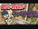 アリーナの敵の名前がヤバすぎた…【フォートナイトゆっくり実況】