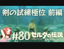 #80 ゼルダの伝説 ブレス オブ ザ ワイルド【剣の試練極位 前編】