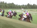 【競馬】2019年　雷光特別【ピカピカ】
