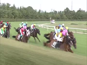 【競馬】2019年　雷光特別【ピカピカ】
