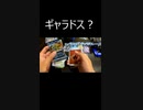 【ポケカ開封】ギャラドスに見えた・・・【ポケモンGO】