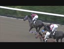 【競馬】2021年　初風ステークス【アイアムハヤスギル】