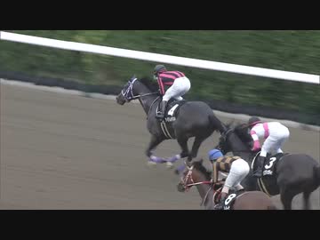 【競馬】2021年　初風ステークス【アイアムハヤスギル】