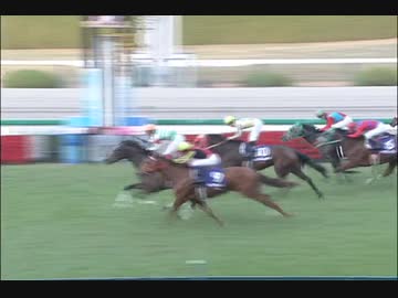 【競馬】2007年　第59回阪神ジュベナイルF【トールポピー】
