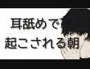 【女性向けボイス】なんか彼氏が耳舐めで起こしてくるんだが【ASMR シチュエーションボイス】