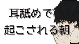 【女性向けボイス】なんか彼氏が耳舐めで起こしてくるんだが【ASMR シチュエーションボイス】