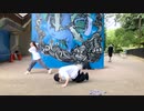 【みぃ＆Nagare】誰でもいいから付き合いたい【踊ってみた】