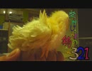 変なおじさんとこの　鶏さん３２１　ねむねむなひよこ饅頭