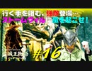 【初見】エルデンリング実況／盗賊王物語【オフライン】#16
