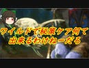 （ハースストーン)ワイルドで秘策ケア何て出来るわけねーだろ秘策ハンター【ゆっくり実況】