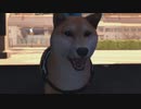 【アラフォーBBAの事件簿】Lost Judgment:裁かれざる記憶　初見実況 part.63