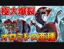 【爆裂】オロミドロ亜種の極大爆破大技が回避不能過ぎるｗｗ【サンブレイク】