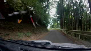 【車載動画】正丸峠往路