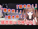 新天地エルガドに降り立つ猛き炎ちえりちゃん【モンハンサンブレイク】