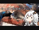 釣り人(末期)の水辺徘徊記録　その６【VOICEROID フカセ釣り実況】