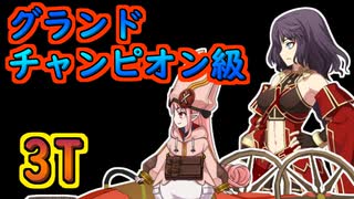 3Tグランドチャンピオン級「南溟弓張八犬伝」【#FGO】