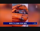 【地獄の中国】 園児にうじの湧いた食事を提供 【汚物の楽園】