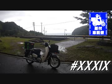 スーパーカブ110プロ