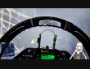 2022.7.4 【ゆかりねっと】Project Wingman #3-2