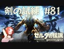 #81 ゼルダの伝説 ブレス オブ ザ ワイルド【剣の試練極位 後編】