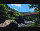 清滝は涼しい