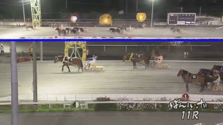 第16回柏林賞 オーシャンウイナー