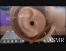 【ASMR】竹の耳かきで耳介を掃除【No talking】
