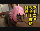 うちのネコ　SPY×FAMILYが面白いのでうちの猫様にアーニャになってもらったのです01