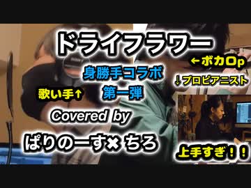 プロピアニストと身勝手にコラボしてみた！！ドライフラワー／優里 【Covered by ぱりのーす× ちろ】
