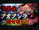 【悲報】傀異化アオアシラが倒せない件について　Part 20【モンハンサンブレイク】【実況】