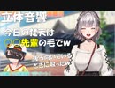 【ASMR】先輩の毛で梵天をするノエル【ホロライブ切り抜き/白銀ノエル】
